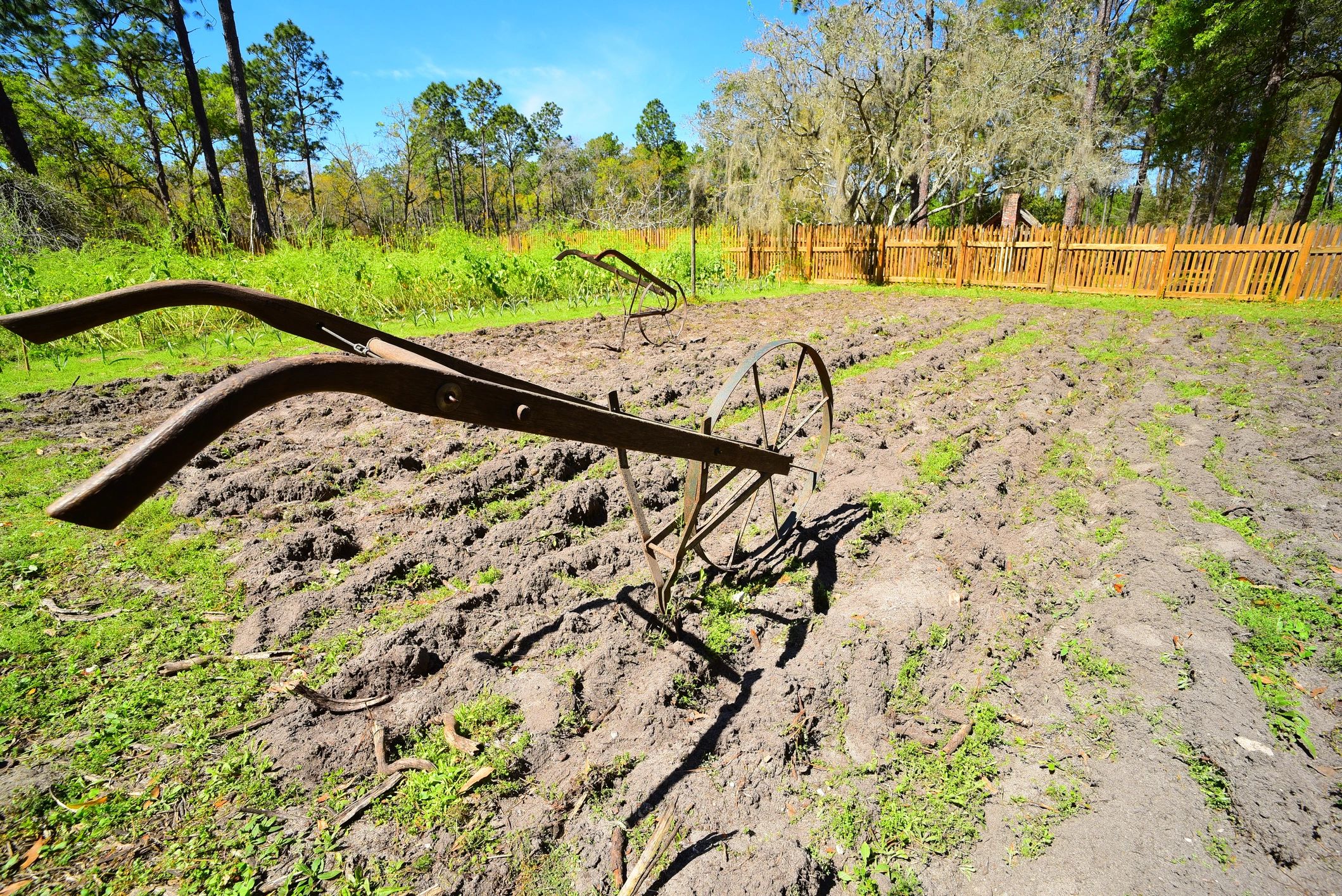 Farm-themed display image