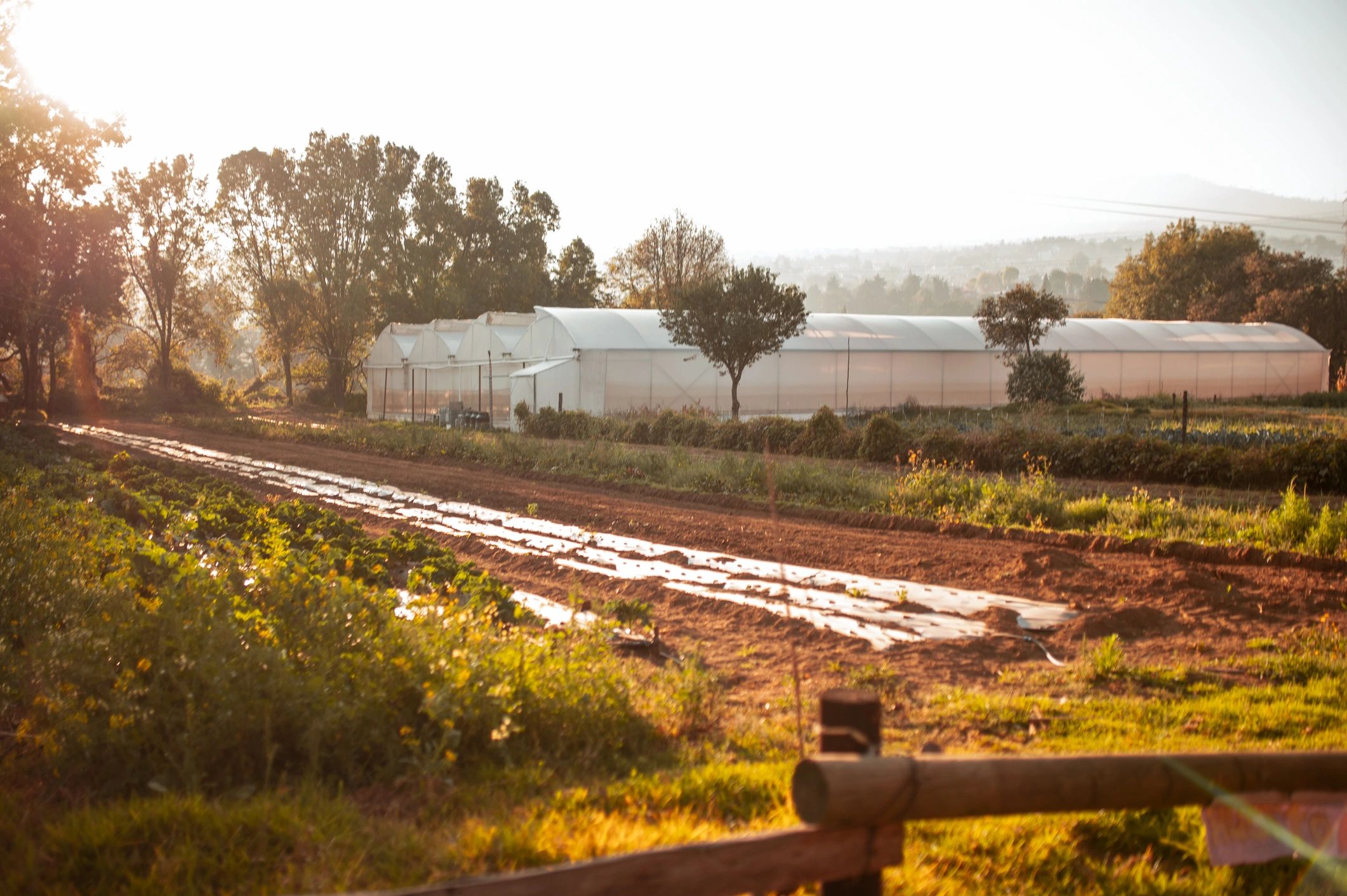 Farm property with open land representing rural pest control needs
