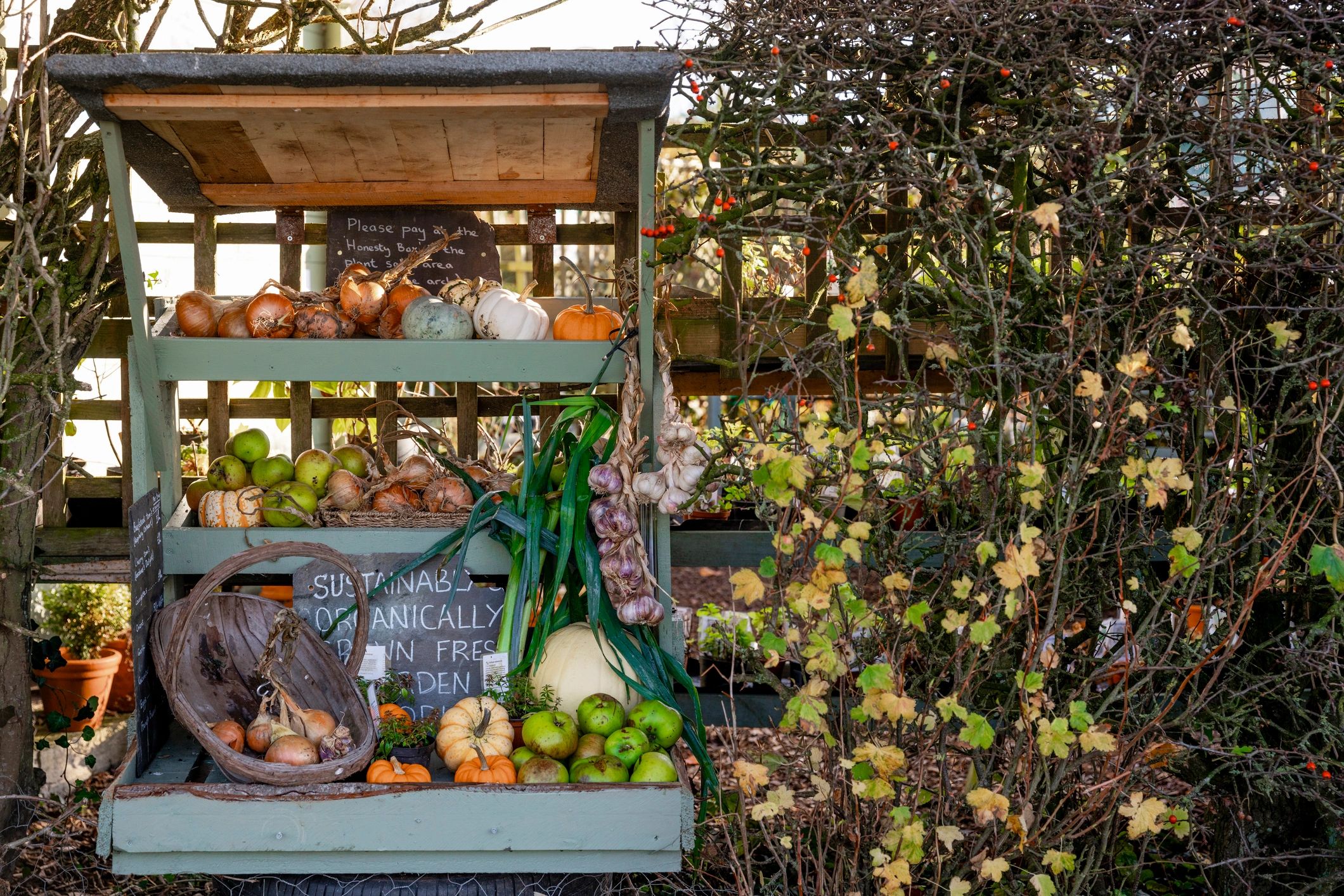 Seasonal produce and rustic display at a countryside stall