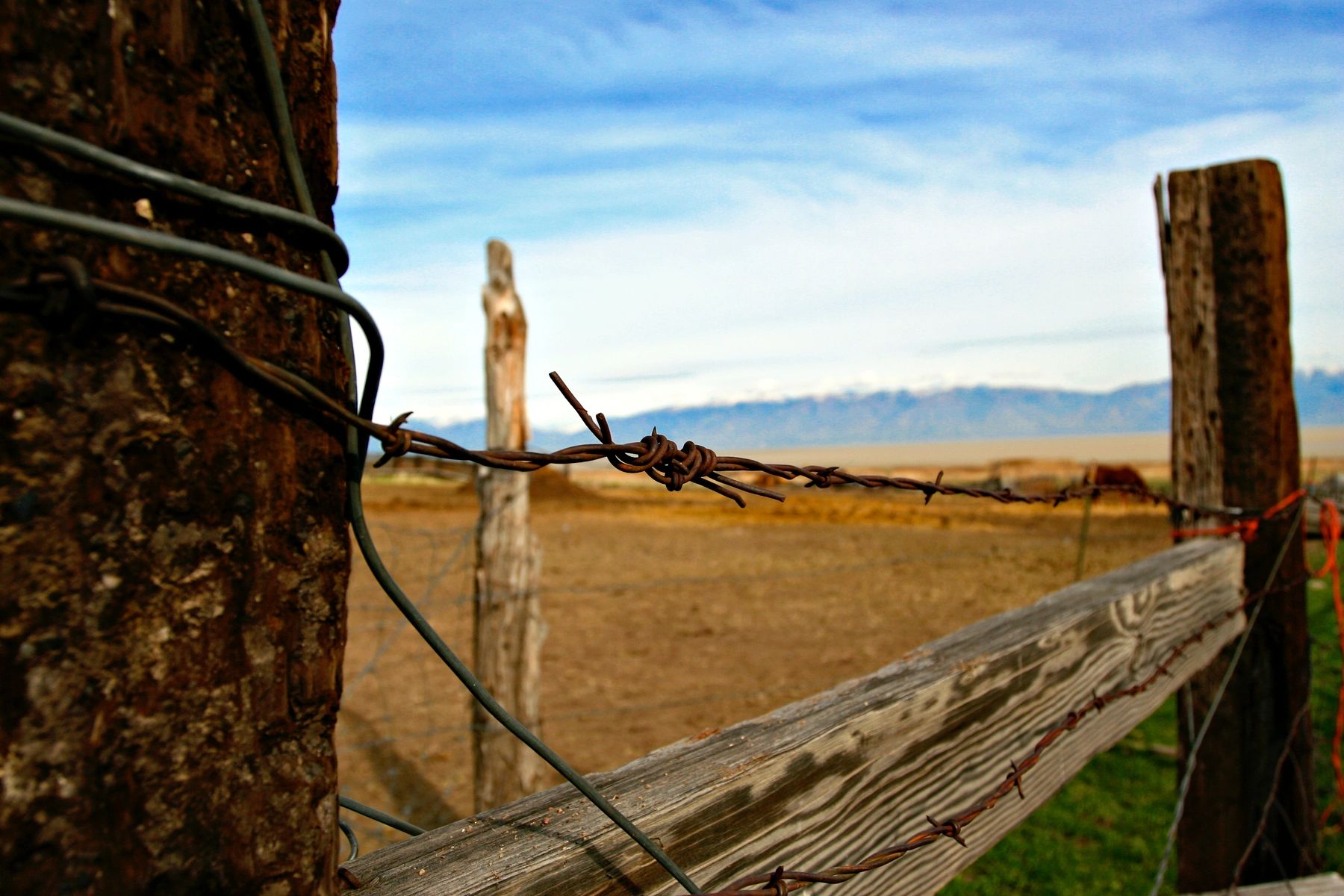 Barbed wire fence stretching across open ranch land
