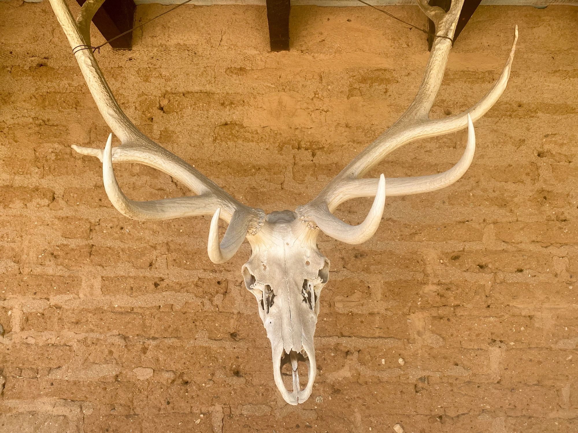Rustic outdoor display image for knives and ammo category