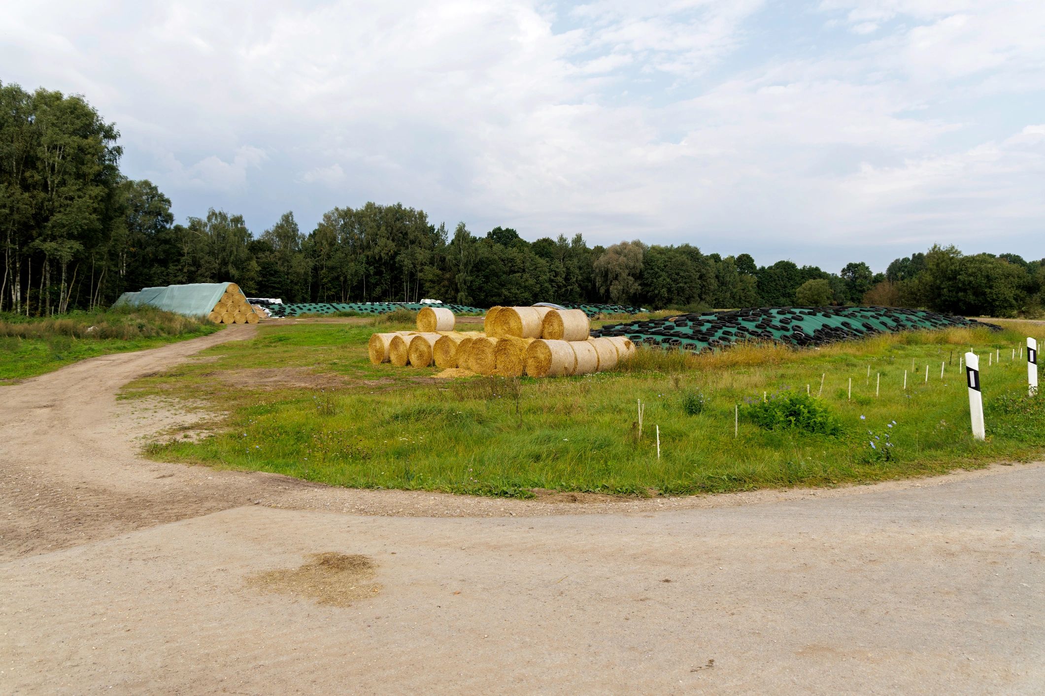 Hay bales and silage in a rural field