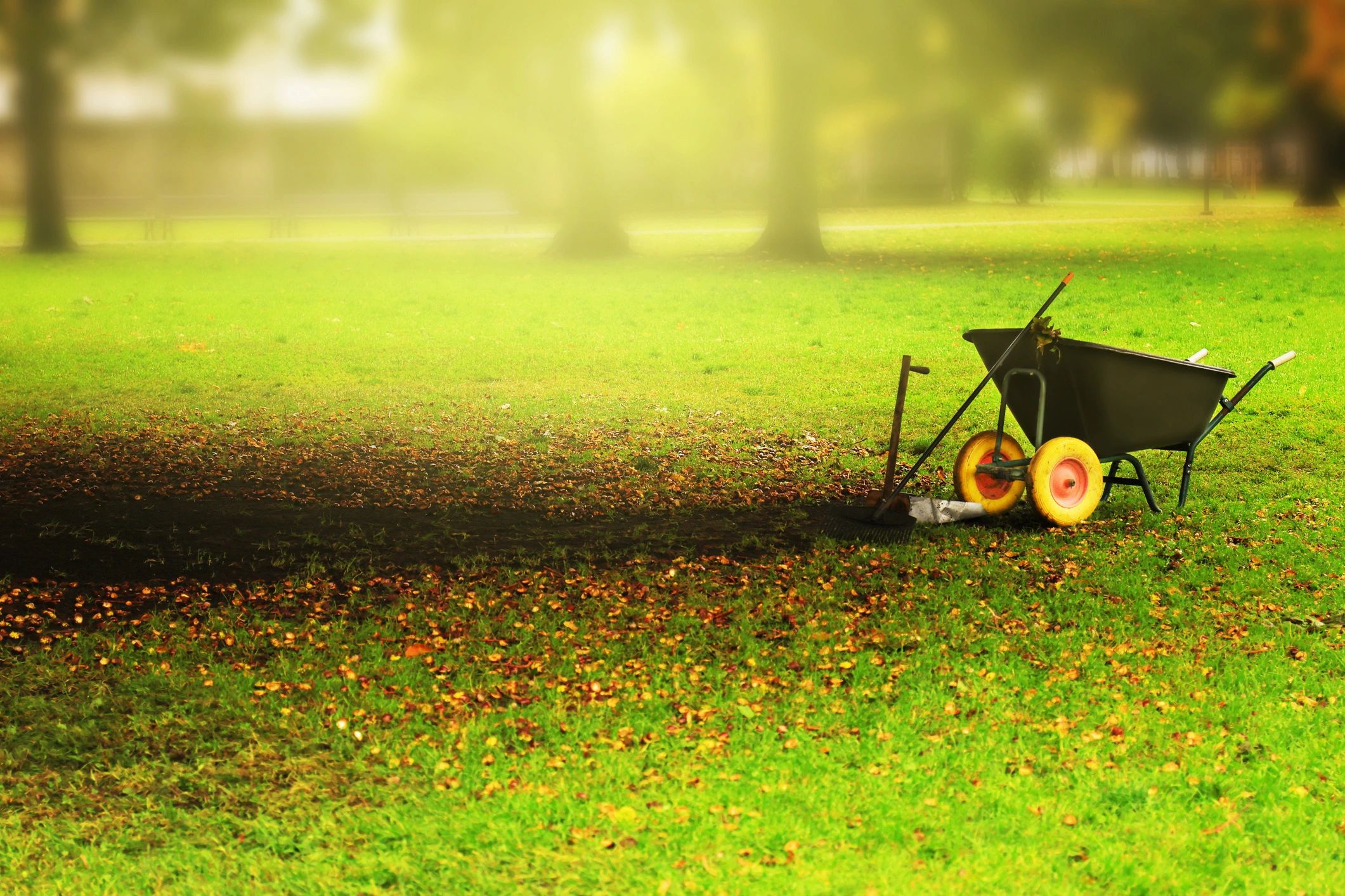 Garden tools arranged on grass