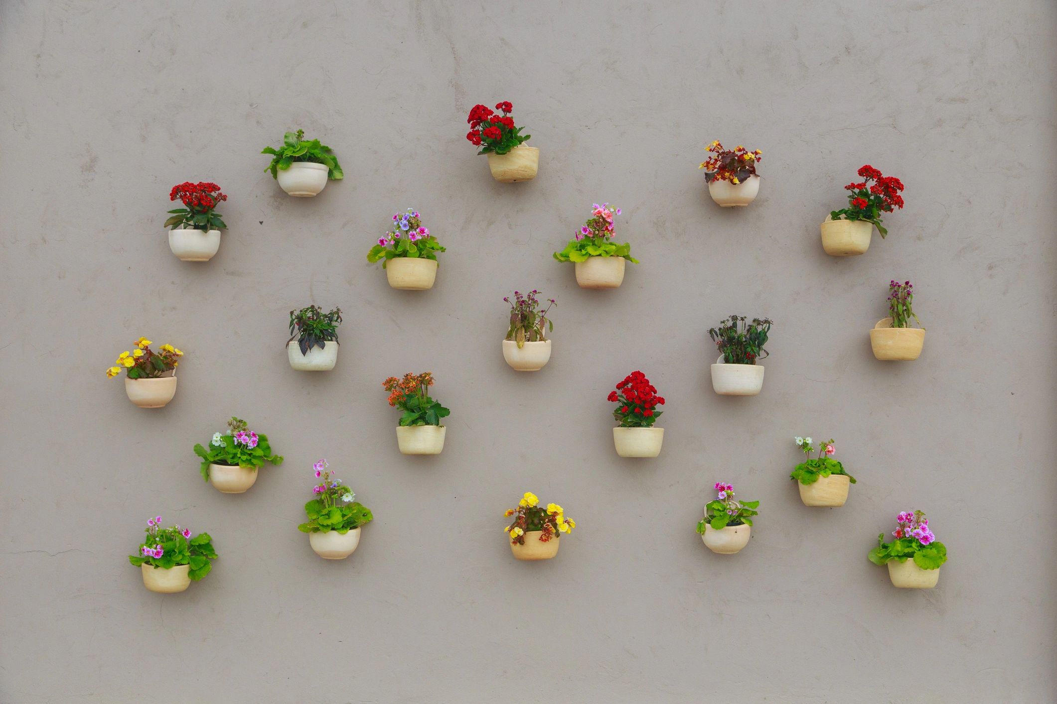 Colorful planters displayed on a wall