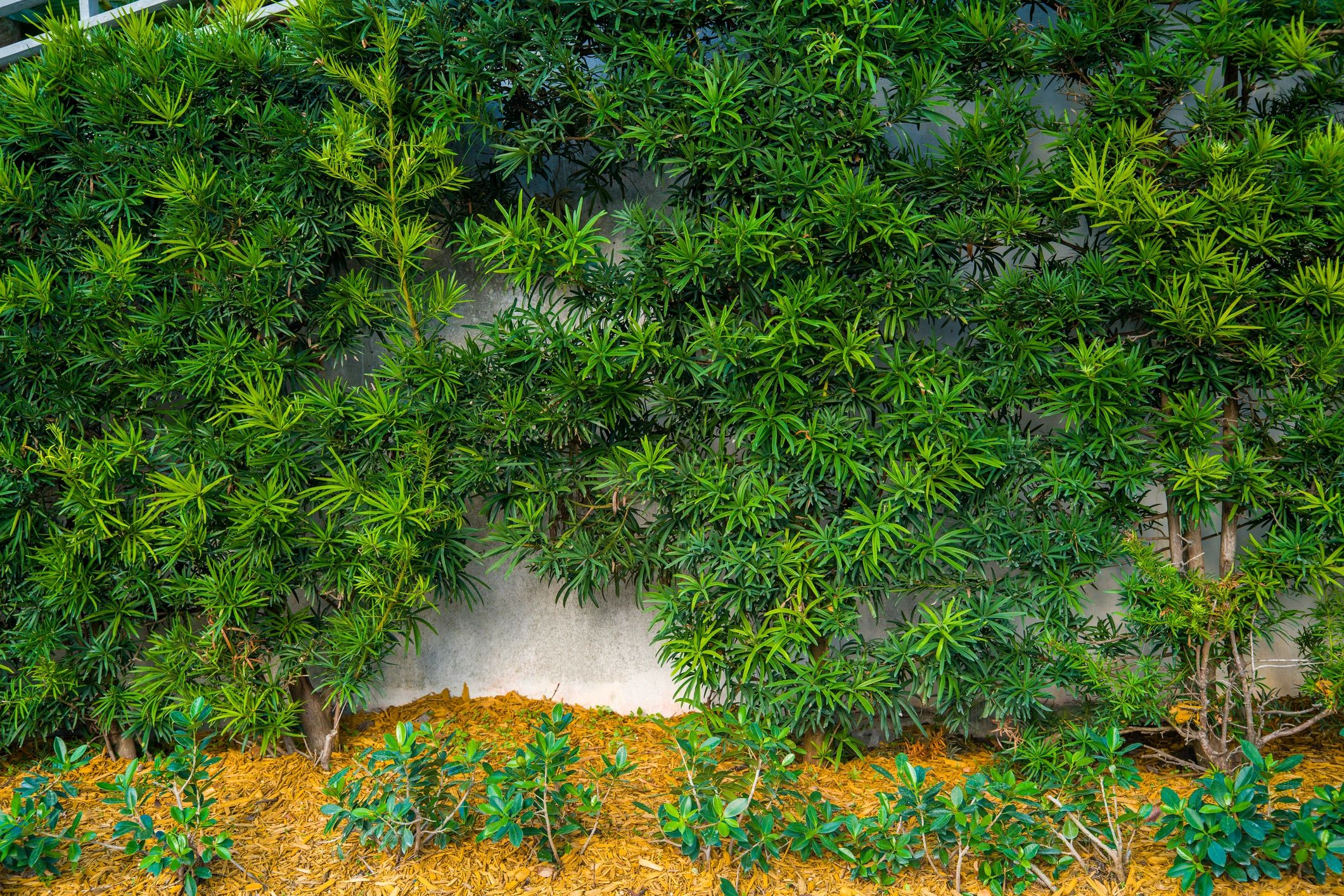 Mulch and soil products displayed in a landscaped garden setting