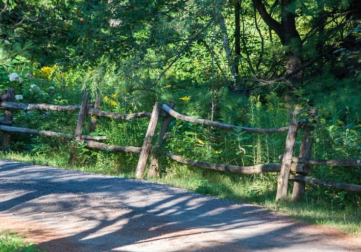 Wooden fence along a rural roadside
